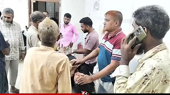 ট্রাক চাপায় অটোরিকশা চালকসহ নিহত-২, আহত ৩
