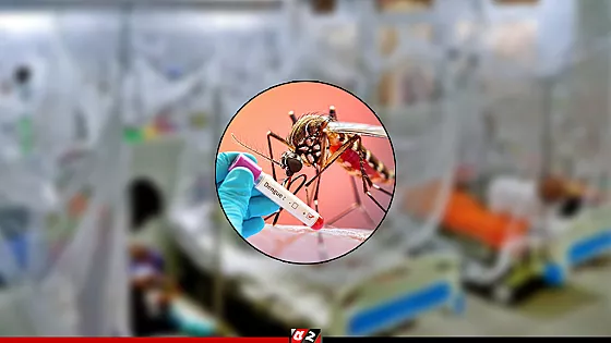 ডেঙ্গুতে আরও ৪ জনের মৃত্যু, হাসপাতালে ১২৫২