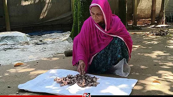 জর্দার কৌটায় ১০ বছরের সঞ্চয় দুই লাখ টাকা, খুলে দেখলেন সব শেষ