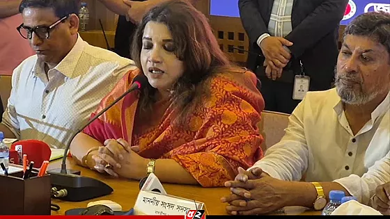 শেখ হাসিনাকে ফেরাতে ভারতের সঙ্গে যোগাযোগ চলছে: পররাষ্ট্র প্রতিমন্ত্রী