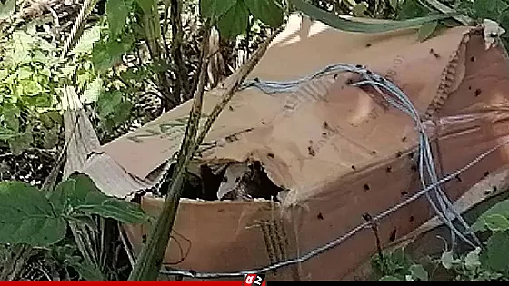 ৩টি কার্টনে মিলল অজ্ঞাত ব্যক্তির ৬ টুকরো মরদেহ