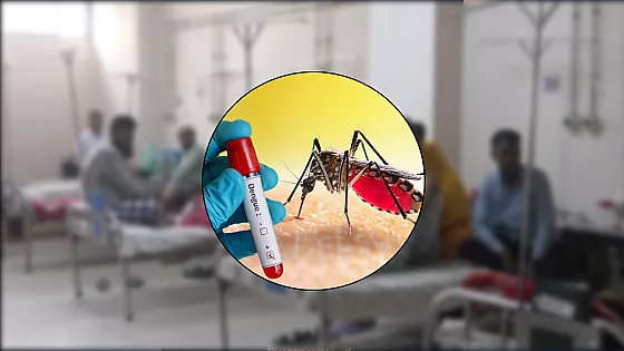ডেঙ্গুতে আরও ৬ জনের মৃত্যু, হাসপাতালে ১৫৯৩ 