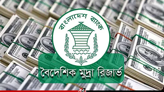 বাড়ল দেশের বৈদেশিক মুদ্রার রিজার্ভ, ছাড়াল ৩৬ বিলিয়ন ডলার