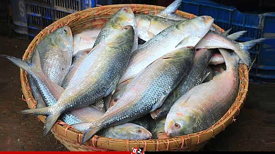 ভারত থেকে ইলিশ আমদানি বন্ধ