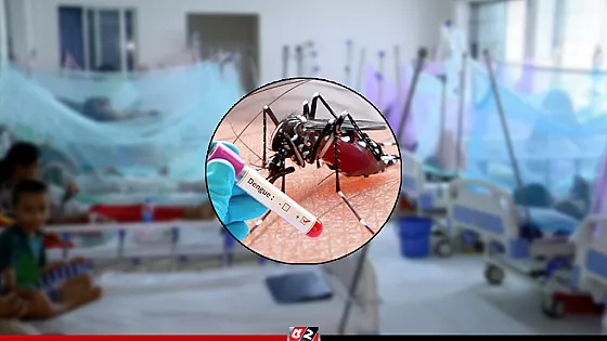 ২৪ ঘণ্টায় ডেঙ্গুতে আরও ৮ জনের মৃত্যু, হাসপাতালে ভর্তি ১৭৮২