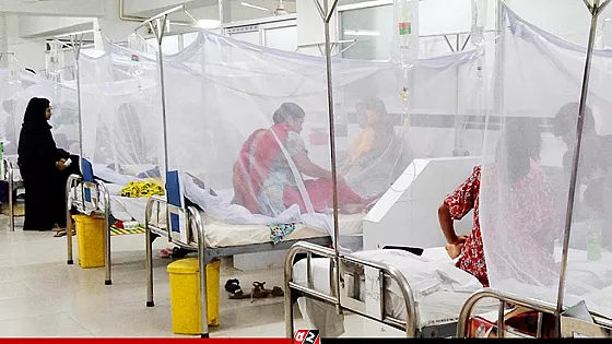 ডেঙ্গু কেড়ে নিলো আরও ৮ প্রাণ, হাসপাতালে ২০৩৬