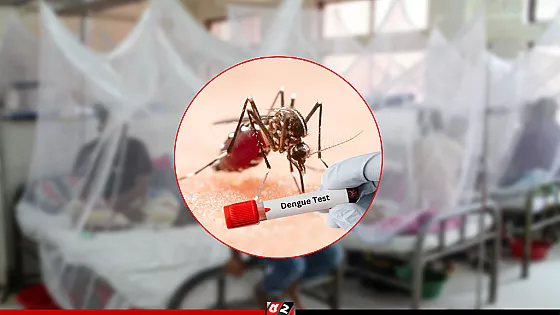 ডেঙ্গুতে আরও ৬ জনের মৃত্যু, হাসপাতালে ১৯৪২