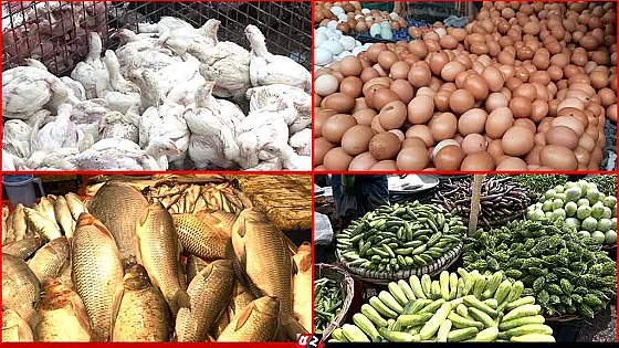 চড়া সবজির বাজার, অপরিবর্তিত মুরগি-ডিমের দাম
