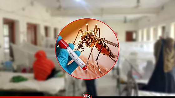 একদিনে ডেঙ্গুতে রেকর্ড ১০ জনের মৃত্য, হাসপাতালে ১৯৯৬