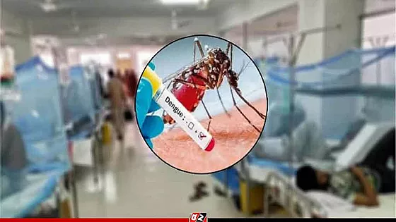 ডেঙ্গু মোকাবিলায় সারাদেশে স্বাস্থ্যসেবা জোরদার করেছে সরকার