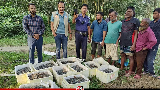 জেলি পুশ করা ৪৫০ কেজি চিংড়ি জব্দ