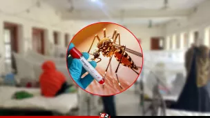 ডেঙ্গুতে আরও ৫ জনের মৃত্যু, হাসপাতালে ১৯৩৫