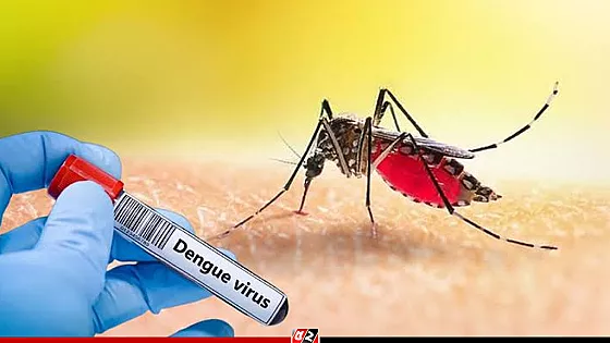 ডেঙ্গুতে আরও ৯ জনের মৃত্যু