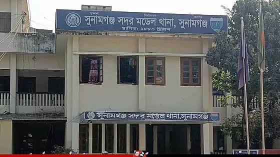 ঘুমন্ত মাকে কুপিয়ে হত্যা, ছেলে আটক