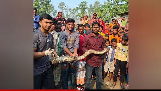  চায়না দুয়ারী জালে ধরা পড়ল ৮ ফুট লম্বা অজগর