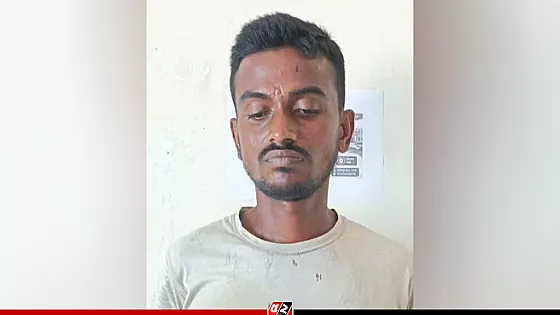 টাকা না পেয়ে মাকে হত্যা, ছেলে আটক