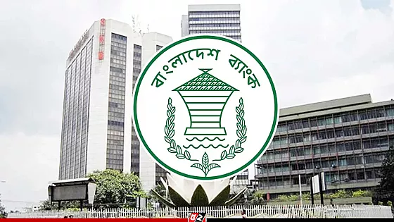 হঠাৎ বন্ধ বাংলাদেশ ব্যাংকের ওয়েবসাইট 