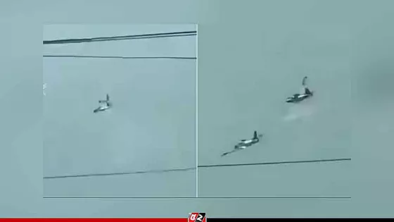 দুই সামরিক বিমানের ভয়াবহ সংঘর্ষে ৪ পাইলট নিহত