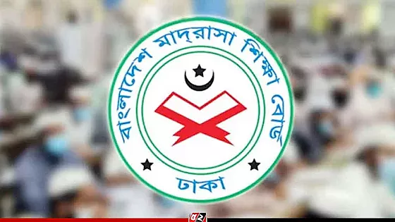 অনলাইন ও এসএমএসে যেভাবে জানা যাবে আলিম পরীক্ষার ফল