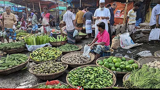 ডিম-সবজির দাম কমলেও, মাছ-মুরগির বাজারে অস্বস্তি