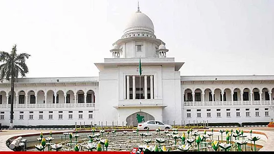 সংবিধানের ১১৬ অনুচ্ছেদ কেন অসাংবিধানিক নয়,  হাইকোর্টের রুল