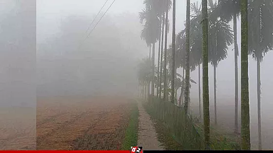 কুড়িগ্রামে জেঁকে বসছে শীত