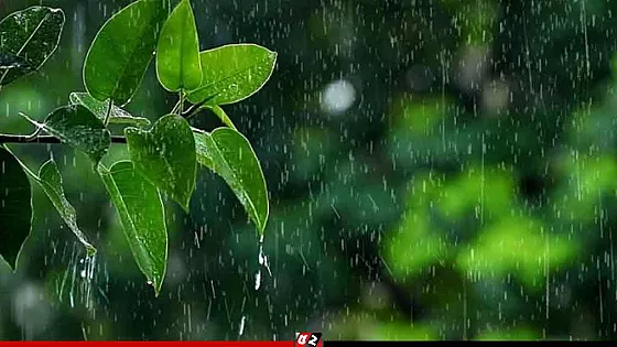 শুক্রবার থেকে ৪ বিভাগে ভারী বৃষ্টির পূর্বাভাস