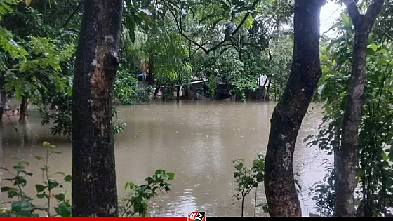 বৃষ্টি থেমেছে নোয়াখালীতে, কমতে শুরু করেছে পানি