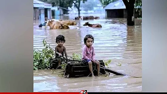 বন্যার সময় করণীয়