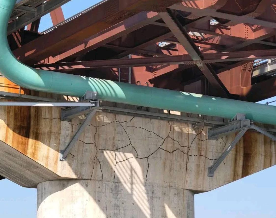 ভাইরাল সেই ছবি