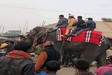 হাতির পিঠে চড়ে এসে বাল্যবিবাহ