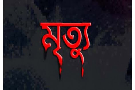 গাজিপুরে কাভার্ডভ্যানের চাপায় নববধূর মৃত্যু