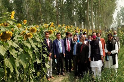 কুড়িগ্রামে সূর্যমুখী আবাদ নিয়ে মাঠ দিবস অনুষ্ঠিত