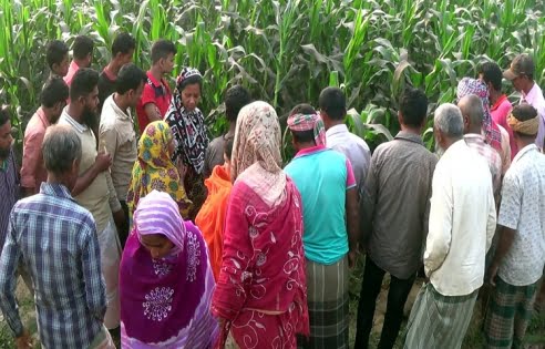 জয়পুরহাটে ভুট্টা ক্ষেতে মিলল যুবকের মরদেহ