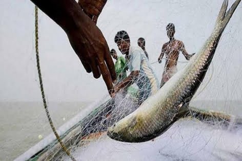 আগামী ২০ মে থেকে ৬৫ দিন সাগরে মাছ ধরা নিষিদ্ধ