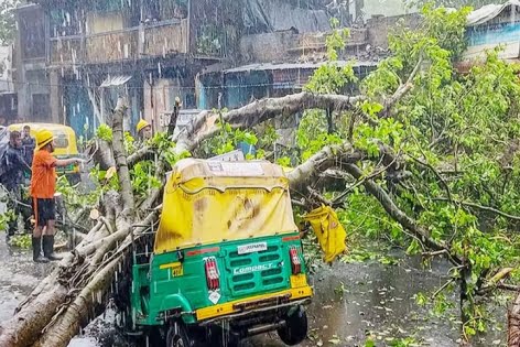 তওকতের আঘাতে গুজরাটে মৃত্যু বেড়ে ৪৫