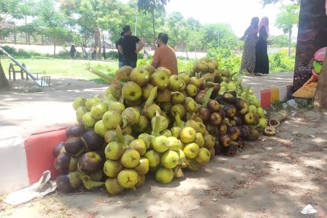 ৫ টাকার তালের শাঁস গাছ থেকে পড়লেই ৩০ টাকা