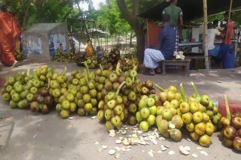 ৫ টাকার তাল শাঁস গাছ থেকে পড়লেই ৩০ টাকা