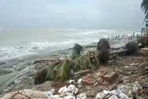 ঘূর্ণিঝড় ইয়াসের প্রভাবে সেন্টমার্টিনে উপড়ে পড়ছে গাছপালা!