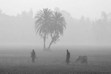 মৃদ্যু শৈত্যপ্রবাহে পঞ্চগড়বাসী