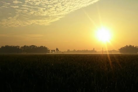 শুষ্ক থাকবে আজকের দিন