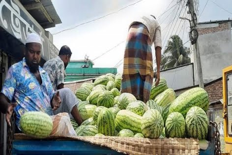 মোংলায় সিন্ডিকেটের কারণে তরমুজের দাম আকাশ ছোঁয়া