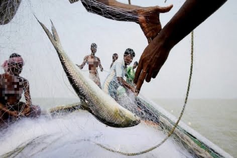 নিষেধাজ্ঞা শেষ: মধ্যরাতেই  ইলিশ ধরতে নামছেন জেলেরা