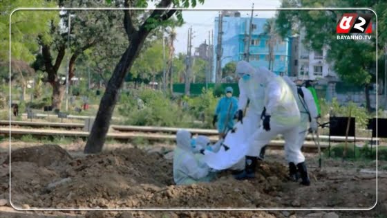 দেশে একদিনে করোনায় আরও ৭ জনের মৃত্যু