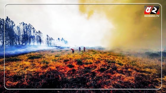 ইউরোপে তীব্র তাপপ্রবাহ: দাবানলে ২৩৮ জনের মৃত্যু