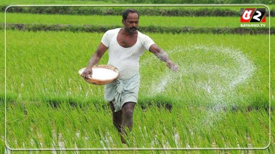 কেজিতে ৬ টাকা বেড়েছে ইউরিয়া সারের দাম