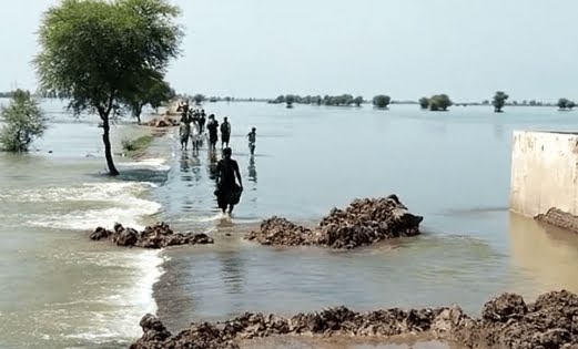 পাকিস্তানে বন্যায় ২৪ ঘণ্টায় মৃত্যু ১৯, মোট ১২০৮