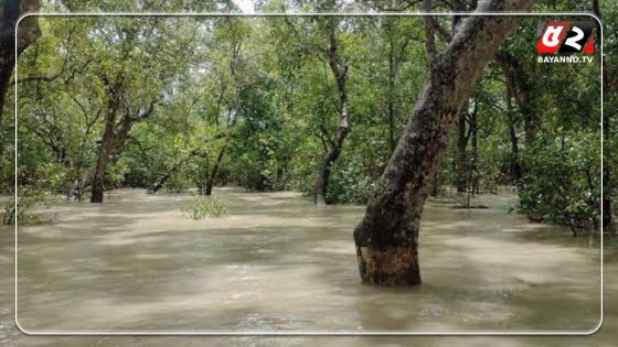 বৃষ্টি-জোয়ারে প্লাবিত সুন্দরবনের বিস্তীর্ণ অঞ্চল