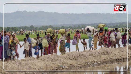 রোহিঙ্গাদের ফেসবুককে অবশ্যই ক্ষতিপূরণ দিতে হবে: অ্যামনেস্টি