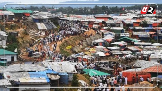 দুর্বৃত্তের গুলিতে রোহিঙ্গা শিশুর মৃত্যু